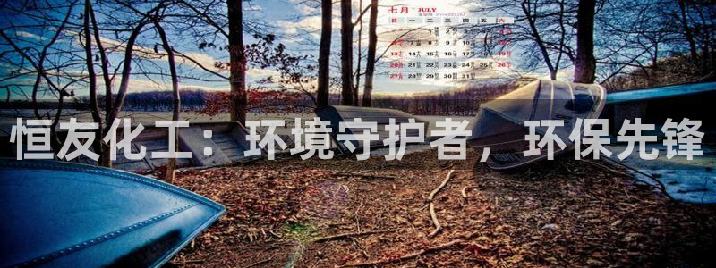 亿万28下载地址：恒友化工：环境守护者，环保先锋