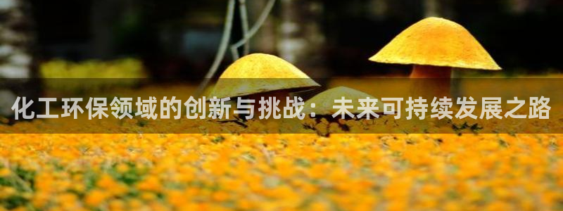 亿万国际合法吗：化工环保领域的创新与挑战：未来可持续发展之路