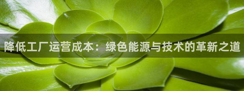 官方网站下载亿万人生：降低工厂运营成本：绿色能源与技术的革新之道