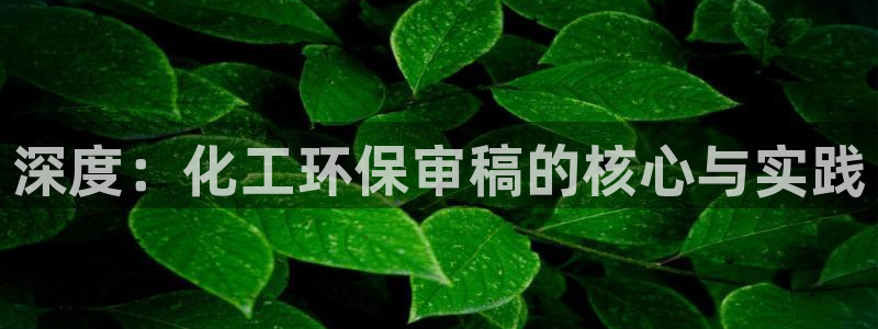 亿万官网手机登录：深度：化工环保审稿的核心与实践