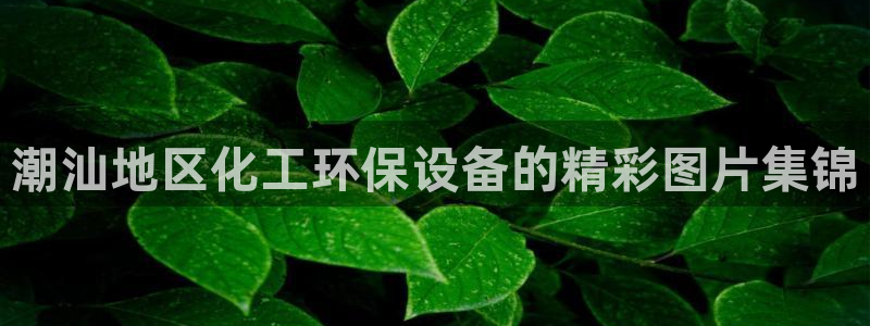 亿万 下载：潮汕地区化工环保设备的精彩图片集锦