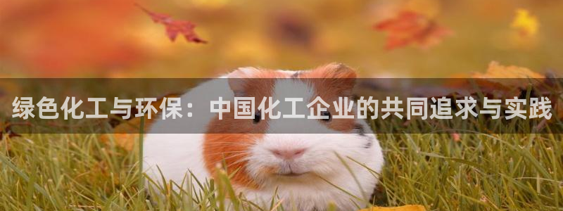 亿万先生手机版入口在哪：绿色化工与环保：中国化工企业的共同追求与实践