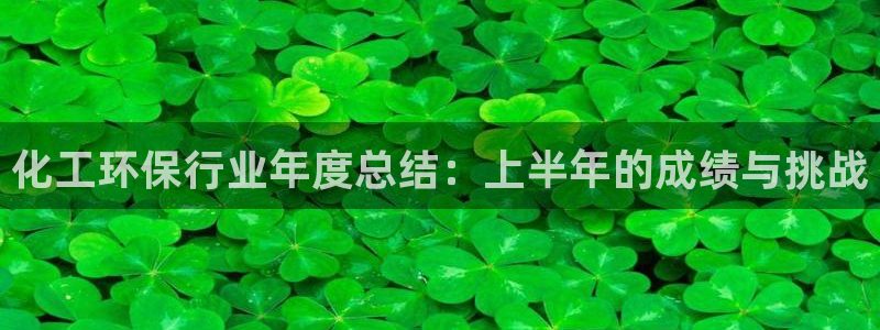 mr003亿万先生：化工环保行业年度总结：上半年的成绩与挑战