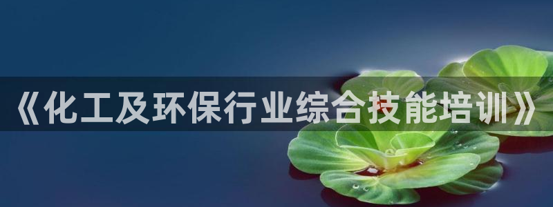 亿万先生 菲律宾：《化工及环保行业综合技能培训》