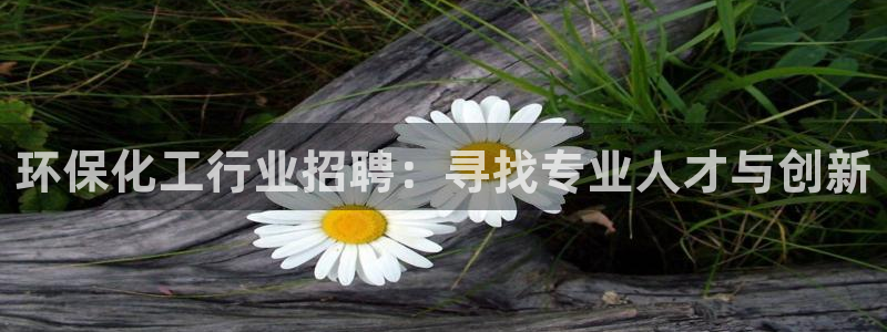 亿万先生mr07：环保化工行业招聘：寻找专业人才与创新