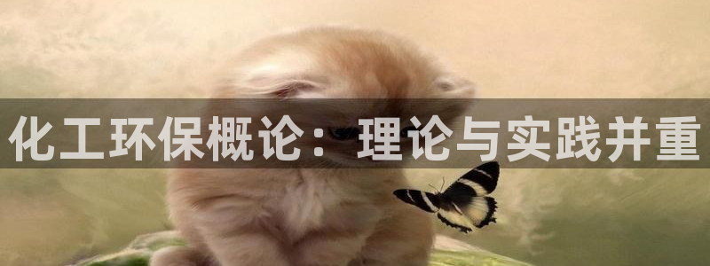 亿万先生官方客服：化工环保概论：理论与实践并重