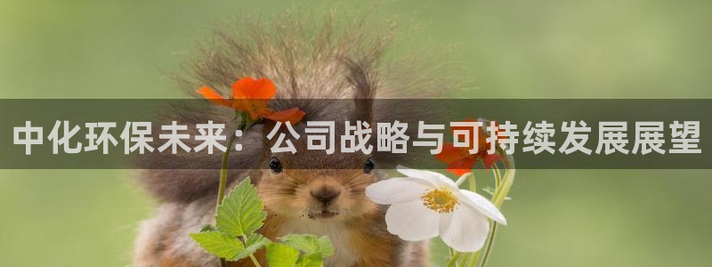 亿万百度贴吧：中化环保未来：公司战略与可持续发展展望