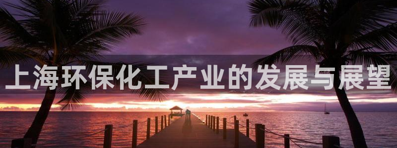 亿万网友在线实时为您解答问题：上海环保化工产业的发展与展望