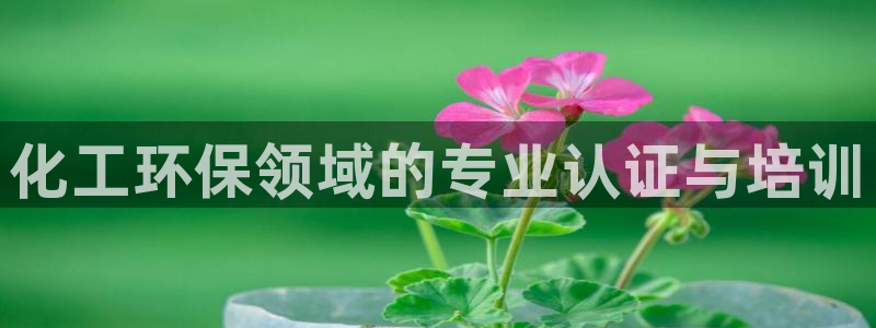 亿万先生手机网：化工环保领域的专业认证与培训