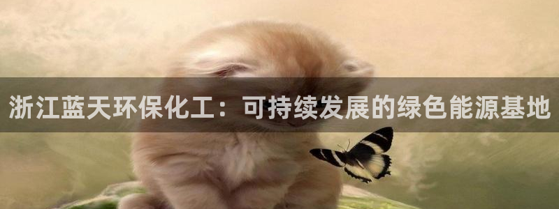 亿万同人字幕分享jogoduplo：浙江蓝天环保化工：可持续发展的绿色能源基地