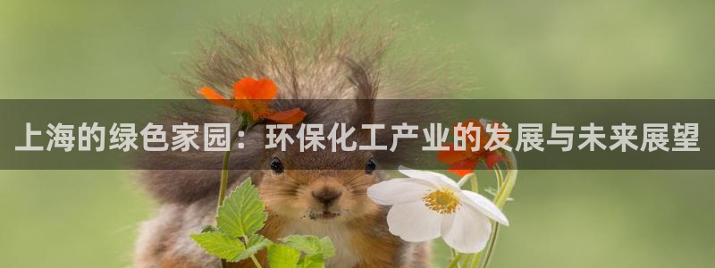 亿万钱包app下载：上海的绿色家园：环保化工产业的发展与未来展望