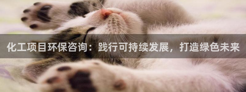 亿万首富手游：化工项目环保咨询：践行可持续发展，打造绿色未来