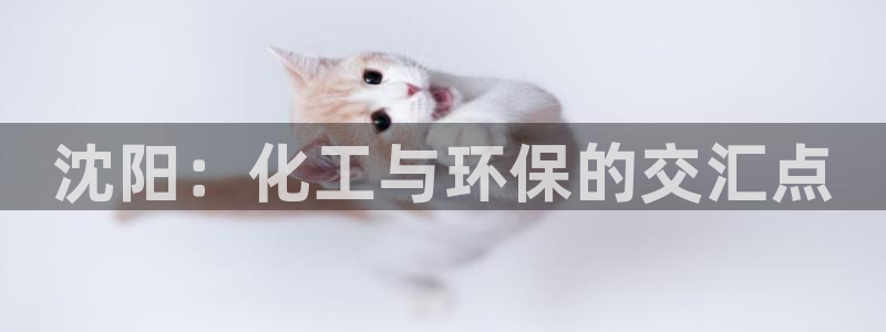 mr亿万先生：沈阳：化工与环保的交汇点