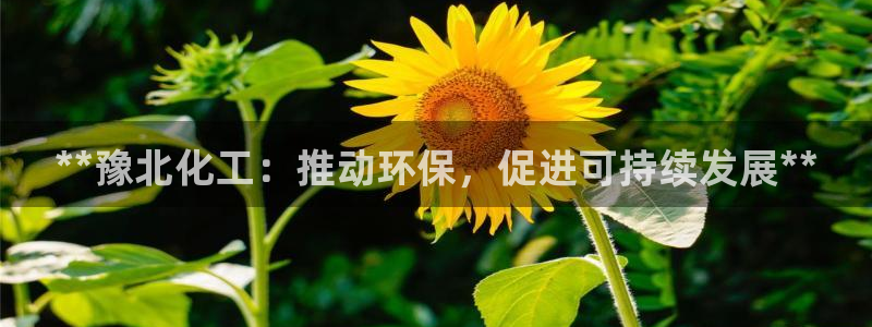 亿万国际：**豫北化工：推动环保，促进可持续发展**