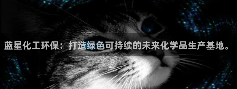 亿万先生用什么客户端：蓝星化工环保：打造绿色可持续的未来化学品生产基地。