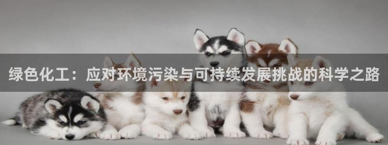 亿万先生mr014：绿色化工：应对环境污染与可持续发展挑战的科学之路