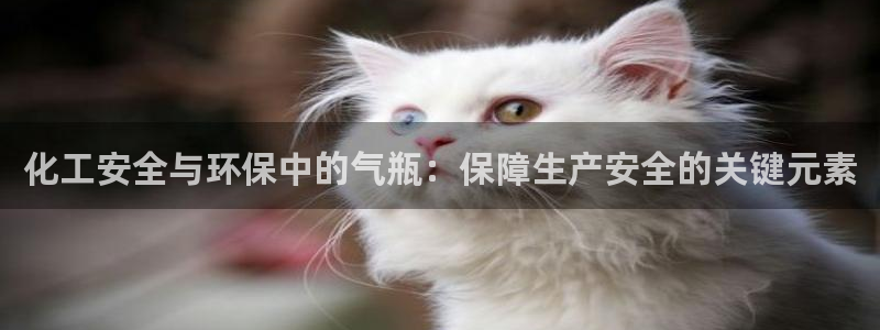 亿万手游官网网址：化工安全与环保中的气瓶：保障生产安全的关键元素