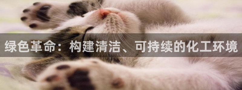 亿万百度百科官网：绿色革命：构建清洁、可持续的化工环境