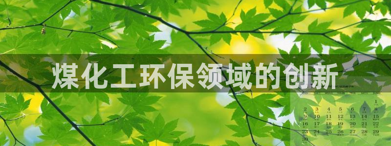 亿万billions：煤化工环保领域的创新