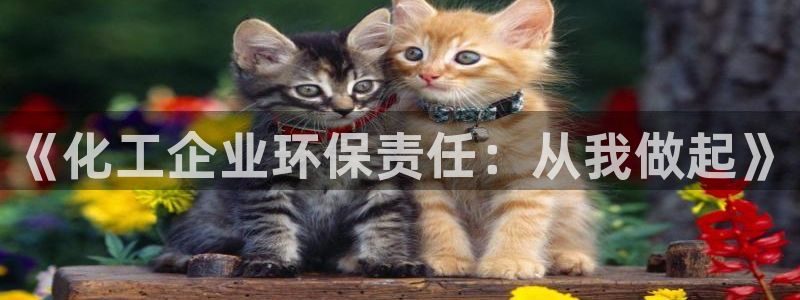 亿万讲了什么：《化工企业环保责任：从我做起》