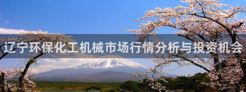 亿万红包版下载正版：辽宁环保化工机械市场行情分析与投资机会