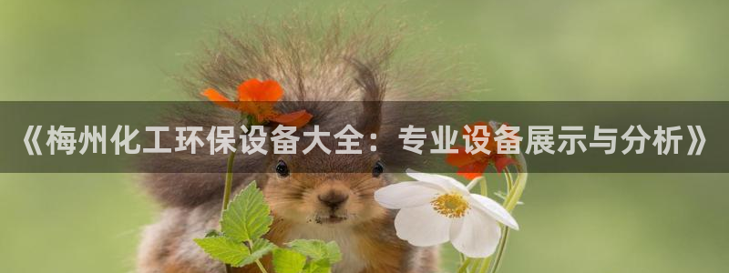 亿万剧情介绍：《梅州化工环保设备大全：专业设备展示与分析》