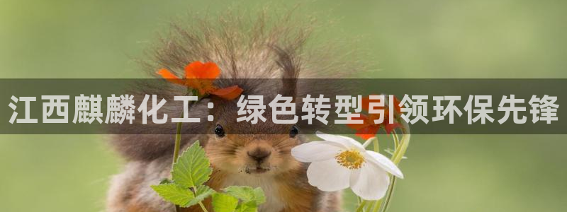 亿万先生网页版登录：江西麒麟化工：绿色转型引领环保先锋