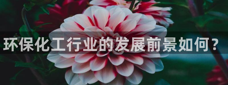亿万贴吧：环保化工行业的发展前景如何？