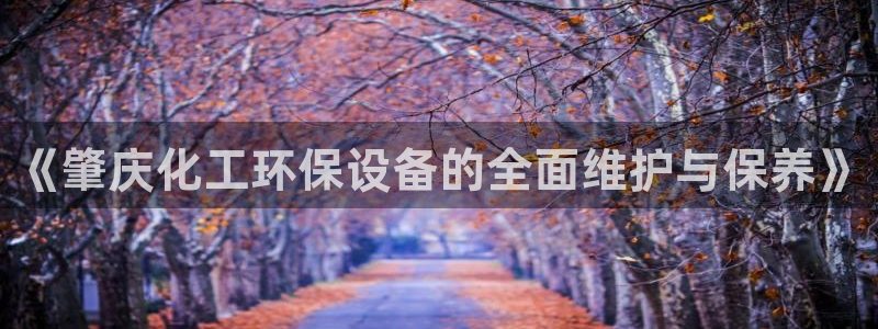 亿万手游官网：《肇庆化工环保设备的全面维护与保养》
