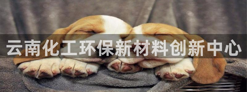 亿万首富游戏破解版无限钻石：云南化工环保新材料创新中心