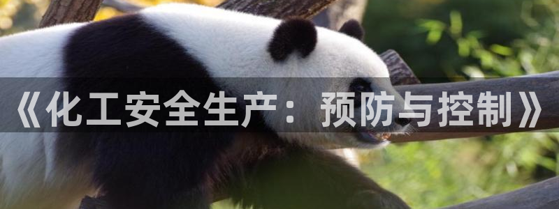 亿万先生手游下载官网：《化工安全生产：预防与控制》
