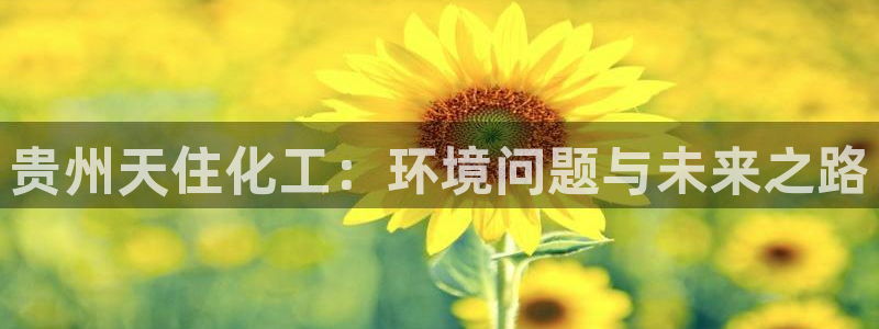 亿万笞人：贵州天住化工：环境问题与未来之路