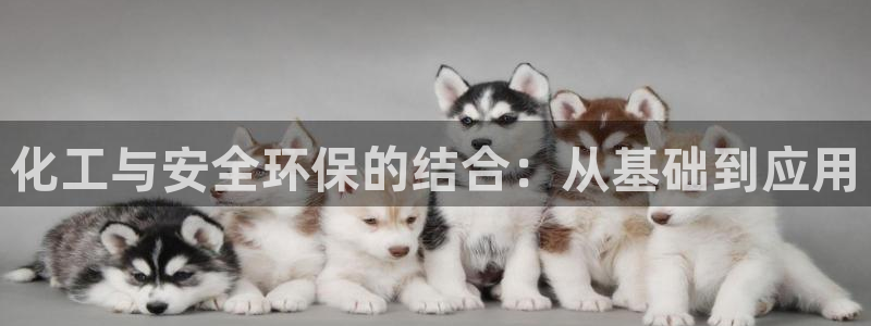 亿万官网手机登录：化工与安全环保的结合：从基础到应用