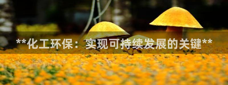 亿万先生官方网站下载手机版：**化工环保：实现可持续发展的关键**