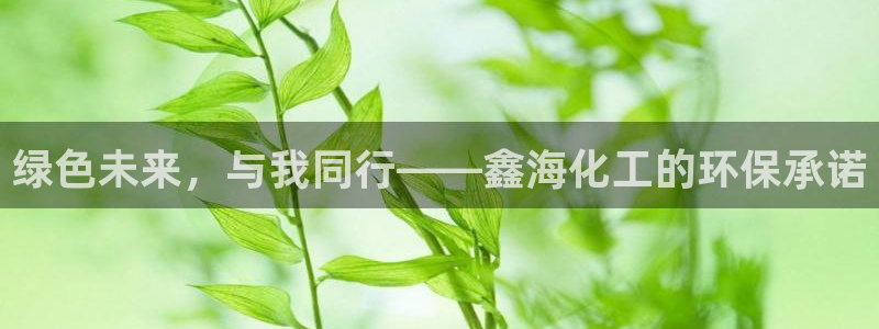 亿万首富游戏：绿色未来，与我同行——鑫海化工的环保承诺