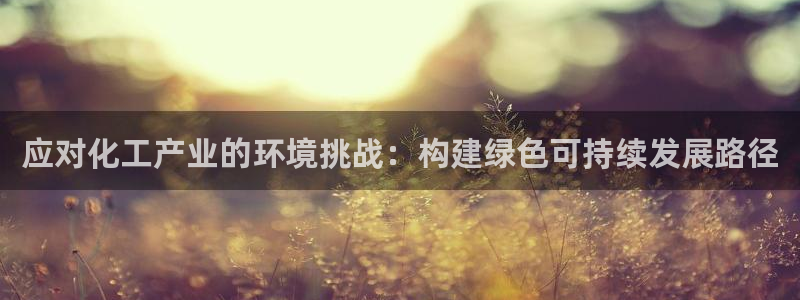 亿万先生官方网站客户端下载安装：应对化工产业的环境挑战：构建绿色可持续发展路径