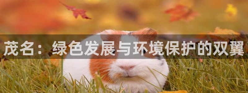 亿万手游平台官网入口：茂名：绿色发展与环境保护的双翼