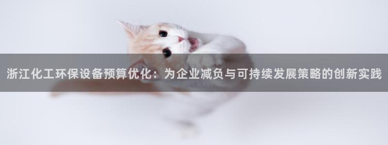 亿万剧情详解：浙江化工环保设备预算优化：为企业减负与可持续发展策略的创新实践
