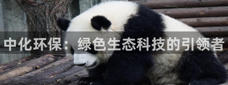 亿万讲了什么：中化环保：绿色生态科技的引领者
