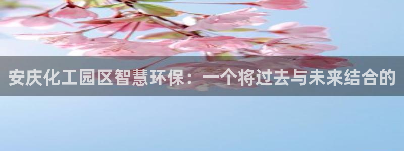 亿万网络科技有限公司ceo：安庆化工园区智慧环保：一个将过去与未来结合的